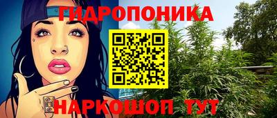 шишки Мариинск