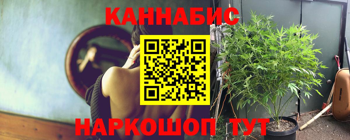 Канабис сатива  МАРИХУАНА SATIVA & INDICA  Марихуана Bruce Banner  Черняховск  Бошки Шишки индика  Вход с VPN 